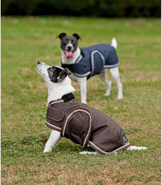 Eskadron Hundedecke aus Ripstop-Stoff in Blau oder Braun – Bild 1 von 1