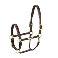Produktbild von Eskadron Leather Elegance Lederhalfter für Vollblut in Braun