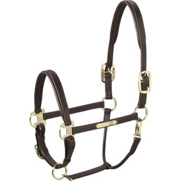 Eskadron Leather Elegance Lederhalfter P2 Braun – Bild 1 von 5