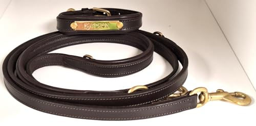 Eskadron Leather Hundeset aus Leder mit Halsband und Leine in Braun-Gold – Bild 1 von 3