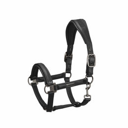 Produktbild von Eskadron Leder Halfter Doublepin Essence 22 Schwarz