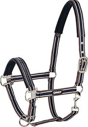 Eskadron P2 Halfter Basics Dornschnalle Biothane Pony Cognac-Creme-Nightblue – Bild 1 von 4