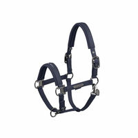 Produktbild von Eskadron Pferde Halfter Double Pin Faux Leather Atlantic Blue Platinum Größe Pony