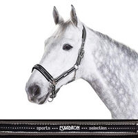 Produktbild von Eskadron Pferdehalfter New Basic Pony mit Neoprenpolster Anthra-White-Black