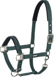 Eskadron Pin Buckle Shetty Halfter Grün – Bild 1 von 1