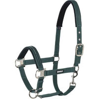 Produktbild von Eskadron Pin Buckle Shetty Halfter Grün