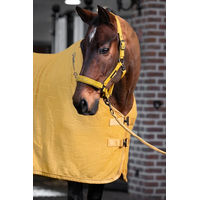 Produktbild von Eskadron Platinum 25 Fleece Stamp Bit Abschwitzdecke für Pferde Gelb Größe S