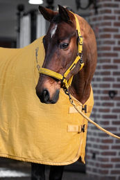 Eskadron Platinum 25 Fleece Stamp Bit Abschwitzdecke Gelb XXL – Bild 1 von 2