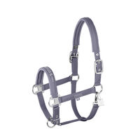 Produktbild von Eskadron Pony Stallhalfter Classic Sports Sparkle Double Pin aus Nylon in Lila
