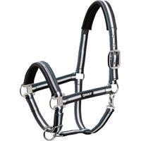 Produktbild von Eskadron Shetty Halfter Pin Buckle Blau