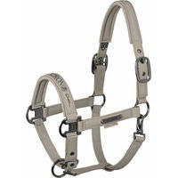 Produktbild von Eskadron Shetty Halfter Sparkle Double Pin Platinum aus Kunstleder