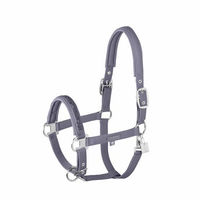 Produktbild von Eskadron Softshell Jewel Halfter für Pferde in Flieder Lila Pony Größe