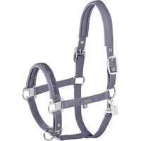 Produktbild von Eskadron Softshell Jewel Halfter für Vollblut in Flieder mit Silber-Details