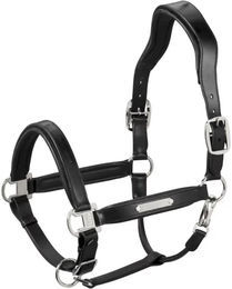 Produktbild von Eskadron Stallion Lederhalfter für Pferde in Schwarz