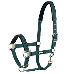 Eskadron Standard Halfter Pin Buckle für Ponys in Grün – Bild 1 von 1