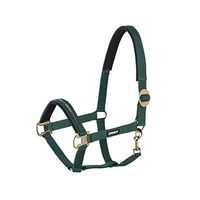 Produktbild von Eskadron Standard Halfter Sliding Buckle aus Biothane für Ponys in Grün