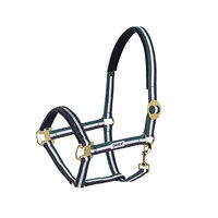 Produktbild von Eskadron Standard Halfter Sliding Buckle