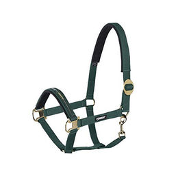 Produktbild von Eskadron Standard Halfter Sliding Buckle Grün
