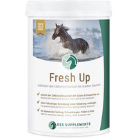 Produktbild von ESS Supplements Fresh Up Elektrolyt-Supplement zur Stabilisierung des Elektrolythaushalts dopingfrei 1000g