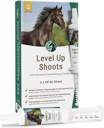 Produktbild von ESS Supplements Level Up Shoots Booster für Muskelaufbau und Gelenke Pulver 150g