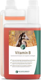 Produktbild von ESS Vitamin B Komplex Liquid zur Unterstützung von Immunsystem, Verdauung und Nervensystem 1000ml