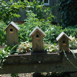 Esschert Design Nistkasten Zaunkönig aus Holz mit Kupferdach in Braun und Natur für Wildvögel - 1 Stk. – Bild 1 von 9