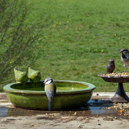 Esschert Design Vogelbad rund aus Keramik in Grün Größe M – Bild 1 von 10