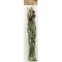 Produktbild von Esve Pet Bouquet Weidegras Snackmischung für Kaninchen und Nager