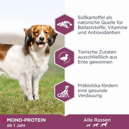 Eukanuba Daily Care Mono-Protein Hundefutter Adult Ente Trockenfutter 2,3 kg – Bild 1 von 4