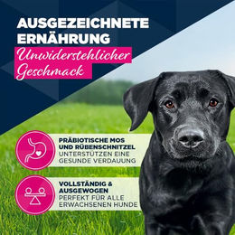 Eukanuba Hundefutter Adult Pute Pastete Getreidefrei 6 x 400 g – Bild 1 von 4