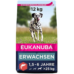 Eukanuba Hundefutter Lachs und Huhn für große Rassen Adult 12 kg - 12 kg – Bild 1 von 9