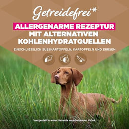 Eukanuba Hundefutter Trockenfutter mit Fisch getreidefrei für große Rassen Adult 3 kg – Bild 1 von 6