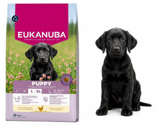 Eukanuba Hundezüchter Welpen Trockenfutter Huhn 18kg – Bild 1 von 1