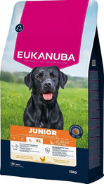 Eukanuba Junior Trockenfutter für große Rassen mit Huhn 15 kg – Bild 1 von 13