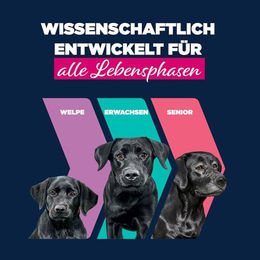 Eukanuba Senior Hundefutter Paté mit Rind und Huhn, getreidefrei und sensitive, 6 x 400 g Dosen – Bild 1 von 4