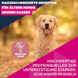 Eukanuba Senior Trockenfutter für große Hunde mit Lamm und Huhn Sensitive 12 kg – Bild 1 von 12