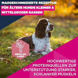 Eukanuba Senior Trockenfutter für Hunde mit Lamm und Huhn Sensitive ohne Farb- und Aromastoffe 12 kg – Bild 1 von 12