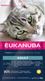 Eukanuba Top Condition 1+ Katzenfutter Adult Huhn und Pute mit hohem Fleischanteil 2 kg - 2 kg – Bild 1 von 13