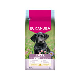 Eukanuba Welpenfutter für große Rassen mit Huhn zur Unterstützung von Gelenken, Knochen und Immunsystem 12 kg – Bild 1 von 3