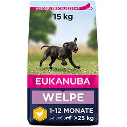 Eukanuba Welpenfutter Huhn für große Rassen Trockenfutter 15 kg - 15 kg – Bild 1 von 12
