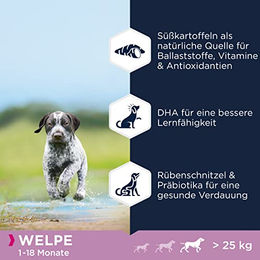 Eukanuba Welpenfutter Trockenfutter mit Lachs für große Rassen getreidefrei hypoallergen 3 kg - 3 kg – Bild 1 von 7