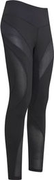 Euro-Star Reithose Damen Flying Figure Full Grip Schwarz Größe 40 – Bild 1 von 6