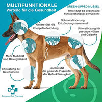 Produktbild von European Pet Pharmacy Grünlippmuschel Gelenktabletten für Hunde und Katzen mit Glucosamin und Chondroitin - 120 Stk.