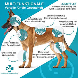 European Pet Pharmacy JUNIORFLEX Grünlippmuschelpulver zur Gelenkvorsorge für Hunde und Welpen 204 g - 204 g – Bild 1 von 6
