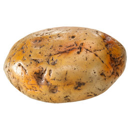 Europet Bernina Aqua Della Aquariumdekoration Wachsstein Gelb für Fische 22 x 18 x 10,5 cm – Bild 1 von 2