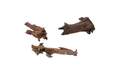 Produktbild von Europet Bernina Aquariendekoration Jati Holz Wurzel für Süßwasser Fisch Natur Braun 15-25 cm