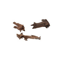 Produktbild von Europet Bernina Aquariendekoration Jati Holz Wurzel für Süßwasser Fisch Natur Braun 15-25 cm