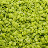 Produktbild von Europet Bernina Aquarienkies Bambusgrün für Süßwasser Fisch Aquariengrund 2 kg - 2 kg