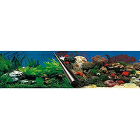Produktbild von Europet Bernina Aquarienrückwand für Meerwasser Motiv Steine und Korallen 60 x 30 cm