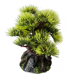 Produktbild von Europet Bernina Aquarium Dekoration Bonsai Mini Figur und Höhle in Grün für Fische